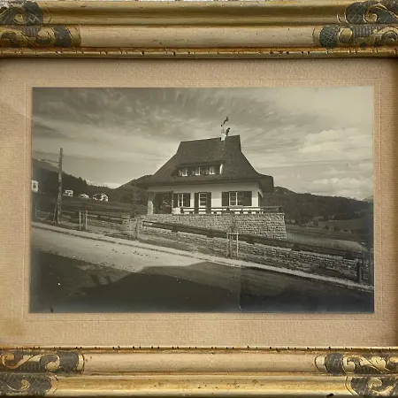 Molteni, Di Fiemme, *